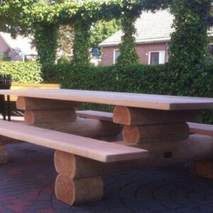 Boomstam picknicktafel oerstoer 5 mtr